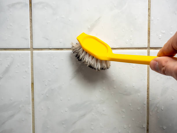 Best Black Mold Removal  in Lenwood, CA
