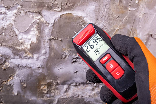 Best Toxic Mold Removal  in Lenwood, CA