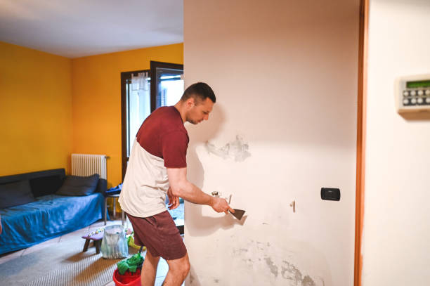 Best Mold Testing and Removal  in Lenwood, CA
